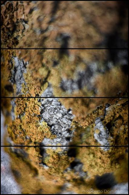 © R.Domínguez - Canción de la vida profunda