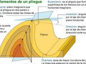 PLIEGUES: PARTES TIPOS