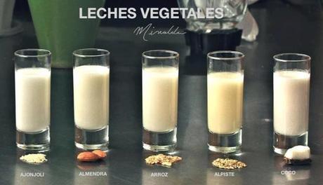 ¿ES MALA LA LECHE DE VACA PARA NUESTRA SALUD? leches-vegetales