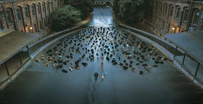 Sé lo que viste el fin de semana pasado/CCCVI