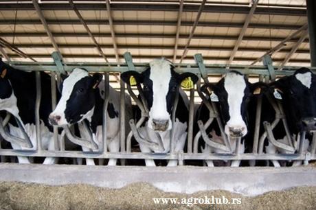 Qué le ocurre a tu cuerpo si dejas de beber leche