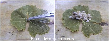 Dolmas { Hojas de Parra Rellenas }
