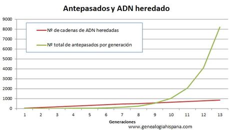 Diversidad de antepasados y de ADN recibido