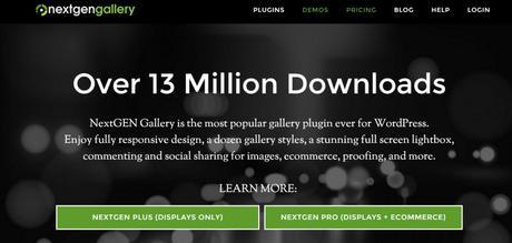 Diseno web para fotografos - 7 plugins TOP para WordPress - next gen gallery