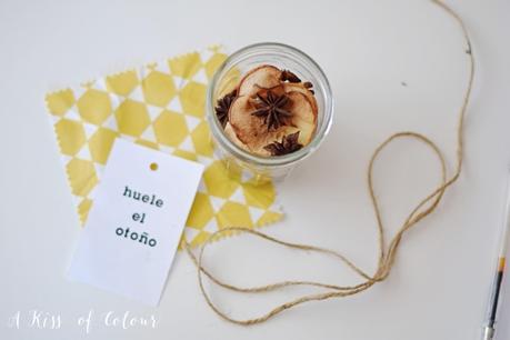 Fall potpourri handmade. Fall in a jar