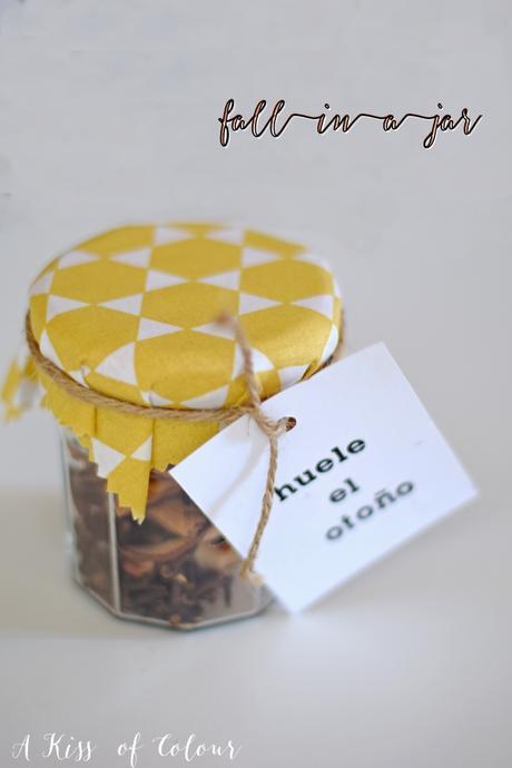 Fall potpourri handmade. Fall in a jar