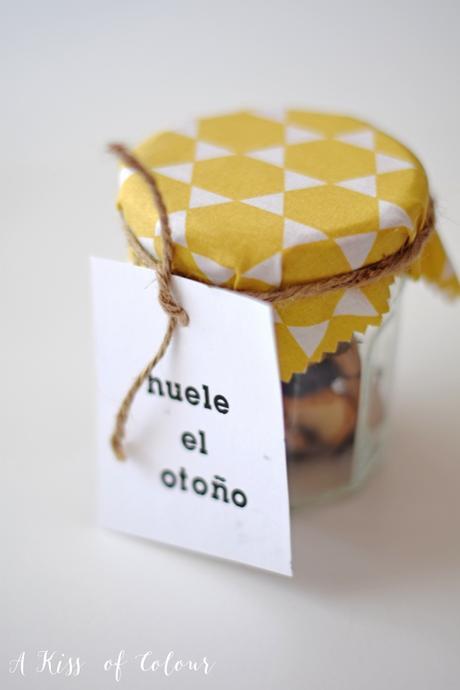 a-kiss-of-colour-fall-potpourri-in-a-jar-05