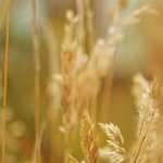 Los estereotipos en internet