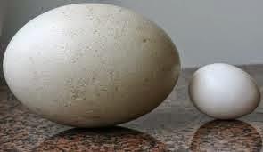 Una diosa en las pampas