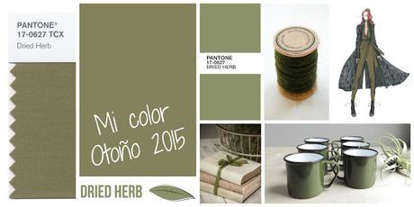 DRIED HERB: MI COLOR DEL OTOÑO 2015