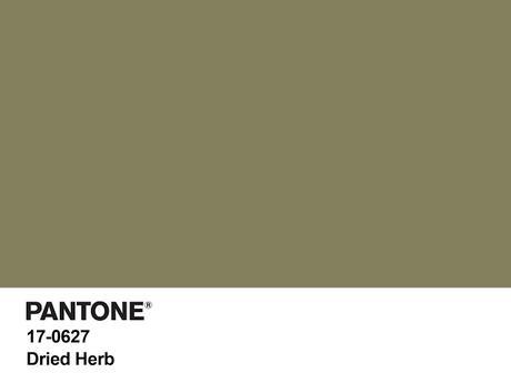 DRIED HERB: MI COLOR DEL OTOÑO 2015
