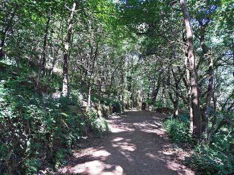 CAMINO DE SANTIAGO: PORTOMARÍN-GONZAR. (CAMINO FRANCÉS)