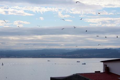 Mirando vistas_22_20150721 - Version 2