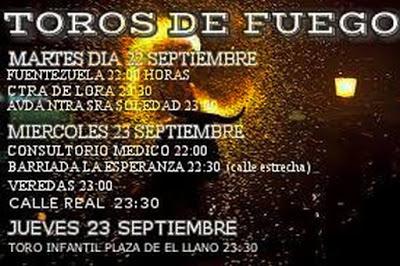 Romería pastoreña 2015: Toros de fuego