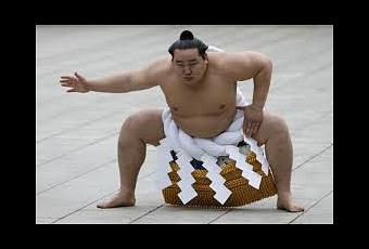 SUMO definición y significado