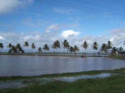 Cómo la solidaridad entre los países puede contribuir a la lucha contra el Cambio Climático: el ejemplo de Noruega y Guyana