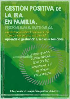 Programa online: gestión positiva de la ira en familia