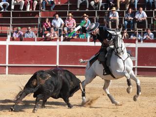 TARDE TRIUNFALISTA EN ALCALÁ