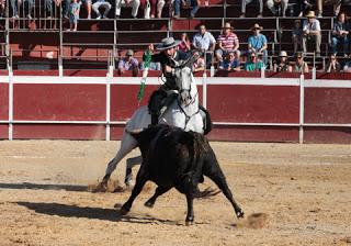 TARDE TRIUNFALISTA EN ALCALÁ