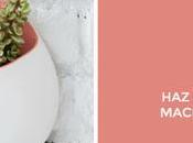 unas bonitas macetas pared