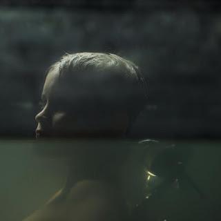 EVOLUTION (Francia, Bélgica, España) Fantástico