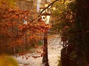 Otoño inspira!!
