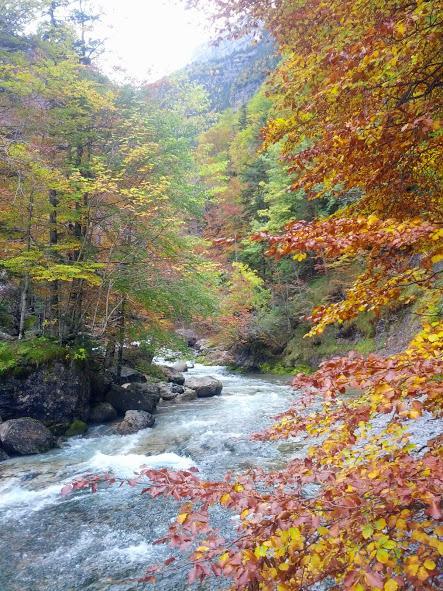 El Otoño me inspira!!