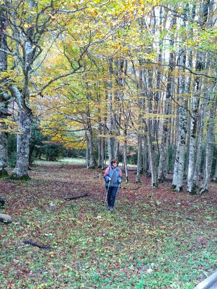 El Otoño me inspira!!