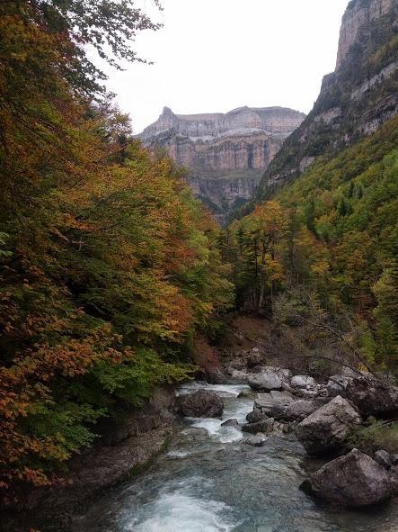 El Otoño me inspira!!