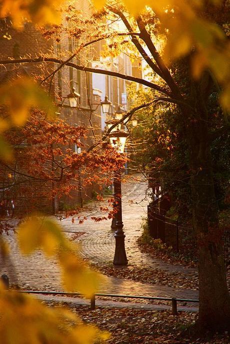 El Otoño me inspira!!