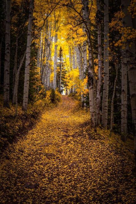 El Otoño me inspira!!