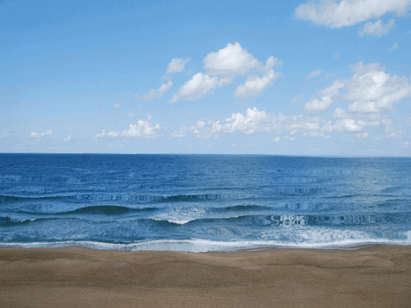 Días especiales de Lizzie Quintas y empezamos con..... Cuestionario Anescris a Lizzie Quintas Días especiales de Lizzie Quintas y empezamos con..... Cuestionario Anescris a Lizzie Quintas