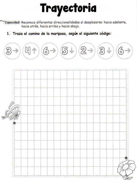 Trayectoria: 5 años