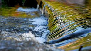 111-ricc81o-fluye-en-micc81