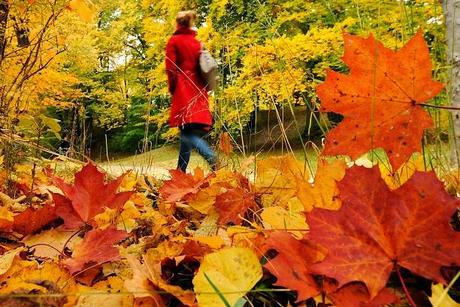 Estamos en Otoño