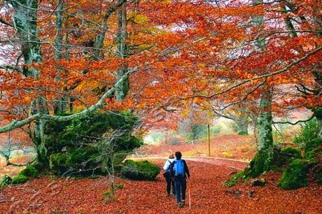 Estamos en Otoño