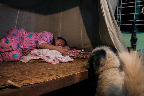 Refugio de perros callejeros en Birmania