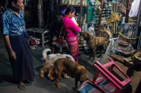 Refugio de perros callejeros en Birmania