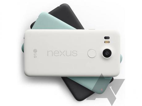 nexus