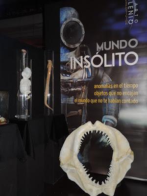 Mi visita a la Expo Cuarto Milenio