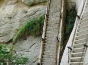 escaleras muerte