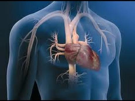 Siete hábitos saludables para cuidar el corazón