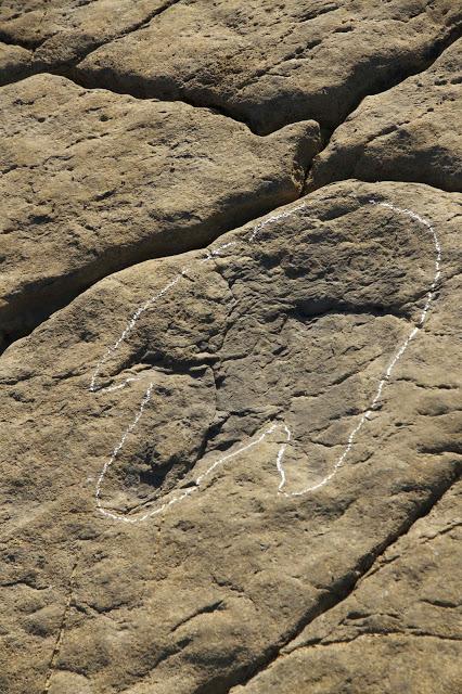 Huellas de dinosaurio en Tereñes