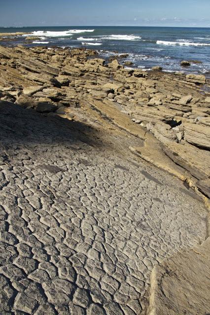 Huellas de dinosaurio en Tereñes
