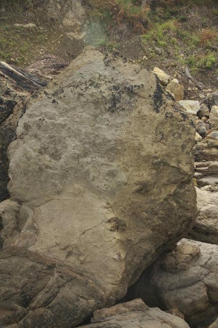 Huellas de dinosaurio en Tereñes