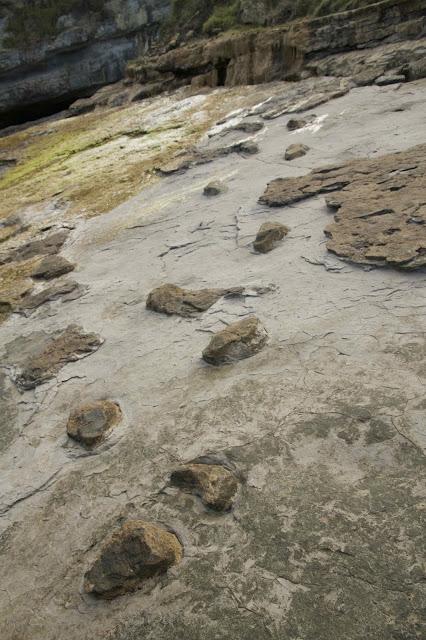 Huellas de dinosaurio en Tereñes
