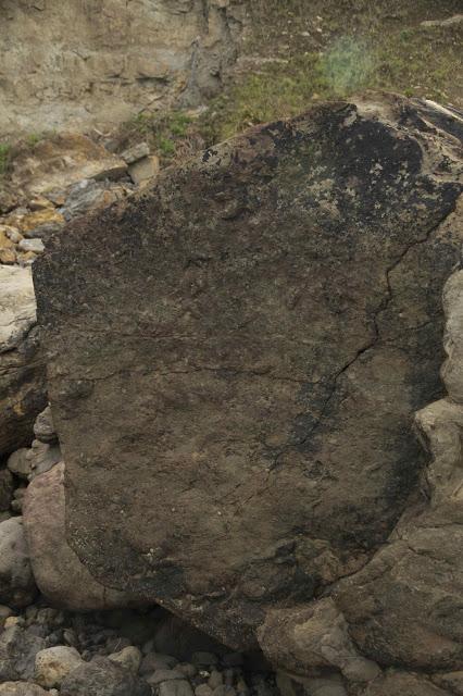 Huellas de dinosaurio en Tereñes