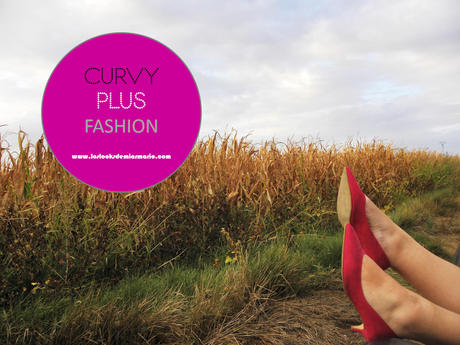 http://www.loslooksdemiarmario.com/2015/09/mequierotalcomosoy-curvy-plus-fashion.html