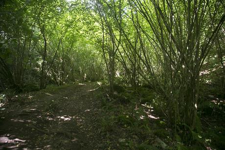 Churrón de Borleña