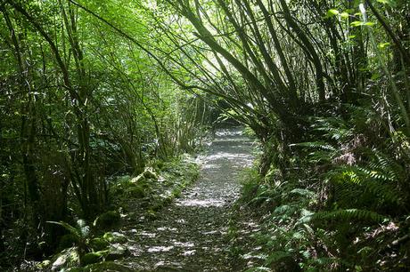 Churrón de Borleña